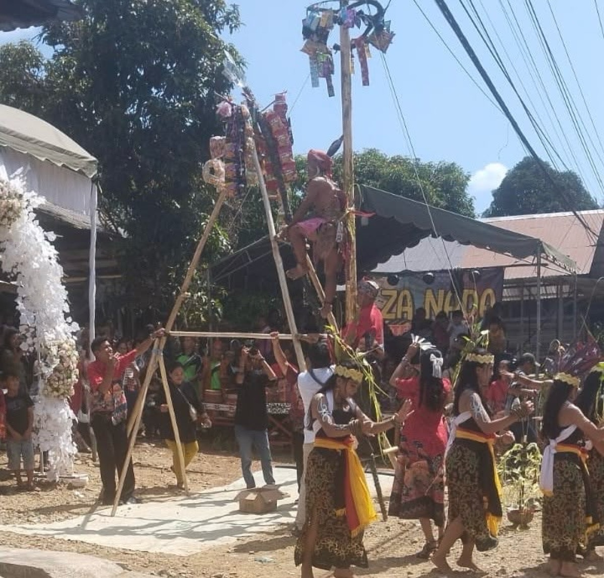 Warisan Budaya Dayak yang Sakral,Tradisi Naik Manau dan tari Giring-Giring dalam acara nikahan adat Dayak