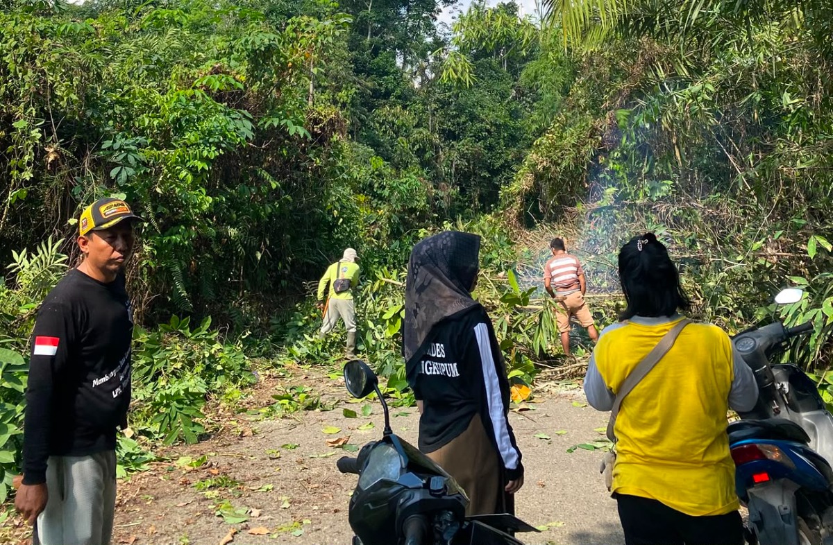 Kegiatan Gotong Royong Pemerintah Desa Mangkupum Bersih-Bersih Tanaman Liar Pinggir Jalan