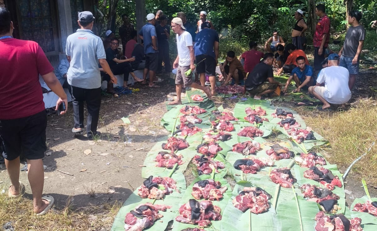 Wujud Kebersamaan, Warga Desa Juai Gelar Ibadah Kurban dengan Khidmat
