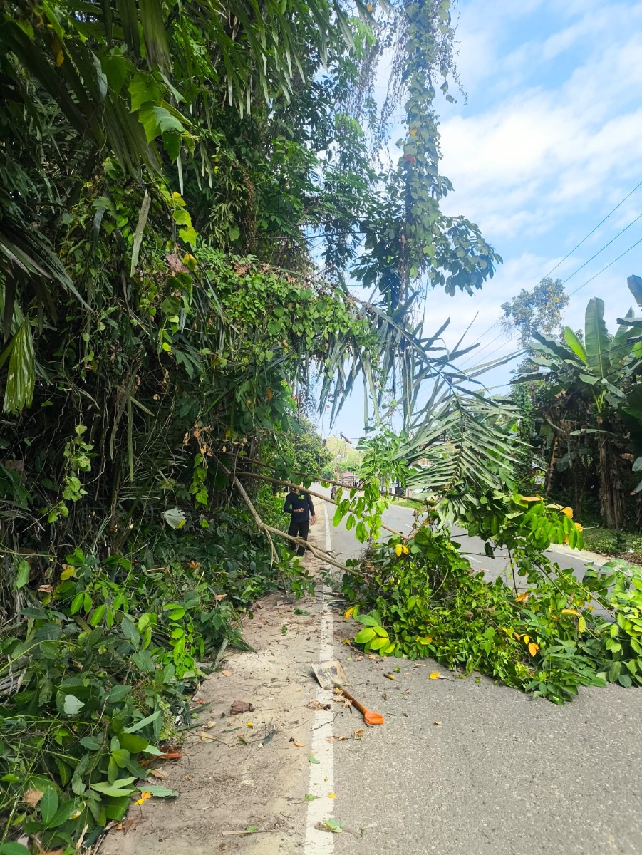 Sambut HUT RI ke-81, Aparat Desa dan BPD Juai Gotong Royong Benahi Lingkungan Kantor
