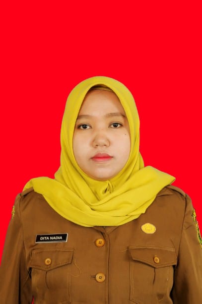 DITA NADIA, S.Kep