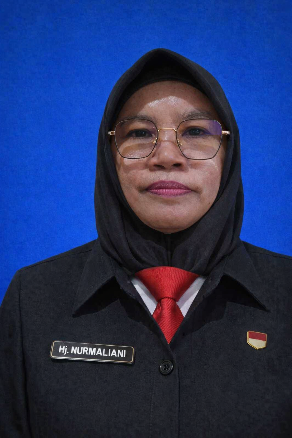 Hj. Nurmaliani, S.IP., M.Si.