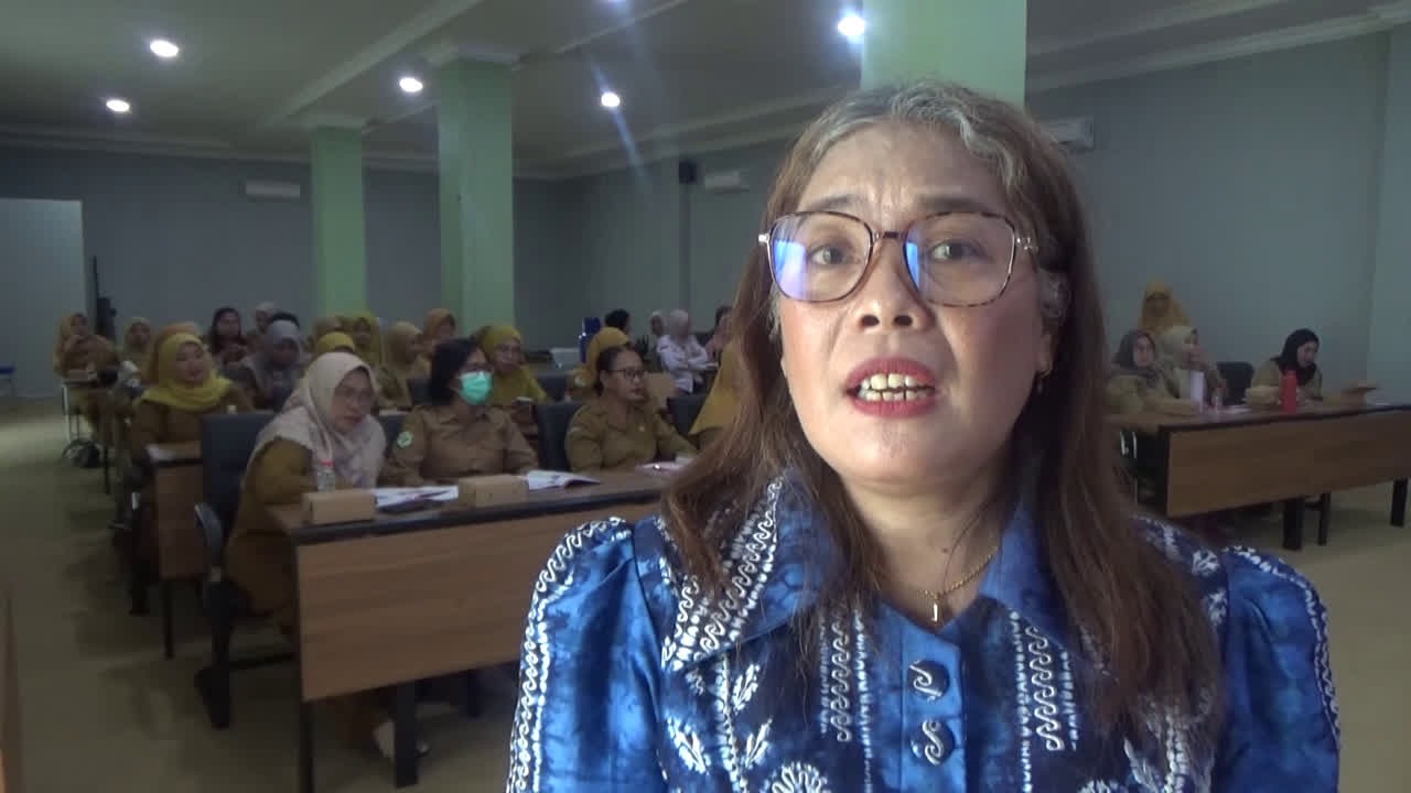Lewat P4K, Dinkes Kalsel Dorong Pencegahan Komplikasi dan Kematian Ibu