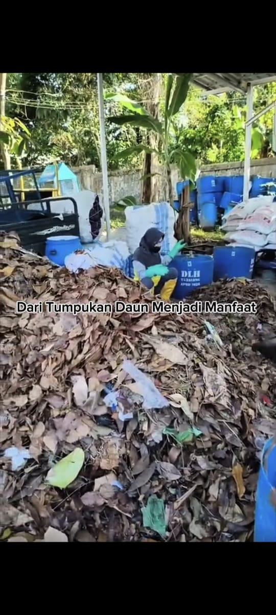 Dari Tumpukan Daun🌿 Menjadi Manfaat