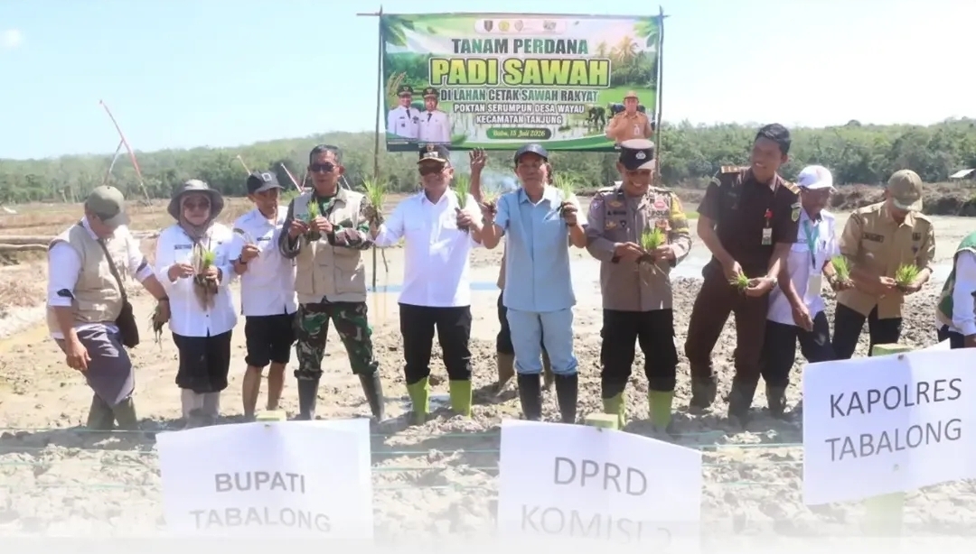 Syukuran Tanam Perdana CSR Desa Wayau, Bupati Tabalong Dorong Peningkatan Produktivitas Petani