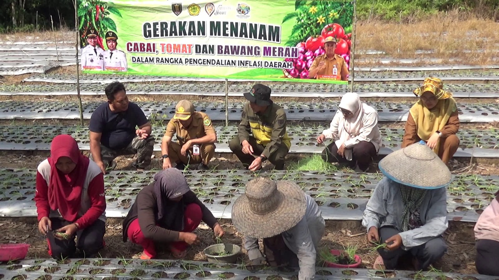 Petani Banyu Tajun Uji Coba Budidaya Bawang Merah dari Biji, Tekan Biaya Produksi