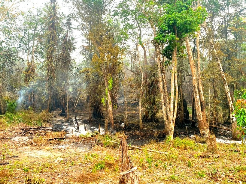 Api Terus Muncul! Karhutla Di Masukau Bakar 30 Hektare Lahan