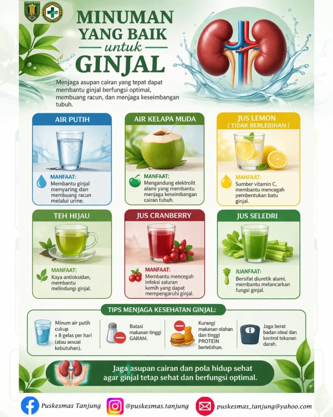 Sayangi Ginjal Kita dengan Minuman Sehat