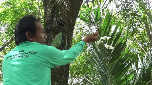 Kopi Basamut Bersama DLH Rawat Tanaman Anggrek di Tanjung Bersinar Park