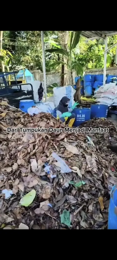 Dari Tumpukan Daun🌿 Menjadi Manfaat
