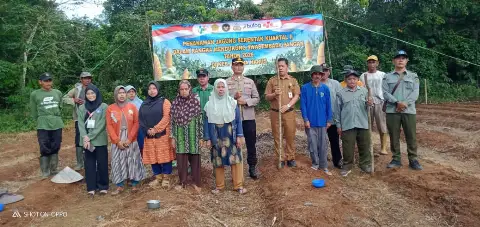 Tanam jagung serentak Kuartal II