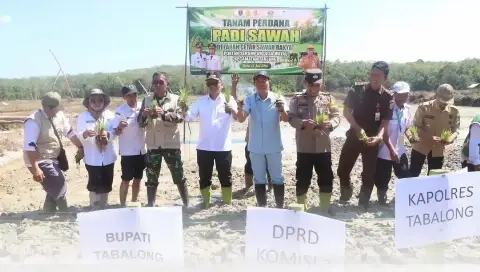 Syukuran Tanam Perdana CSR Desa Wayau, Bupati Tabalong Dorong Peningkatan Produktivitas Petani