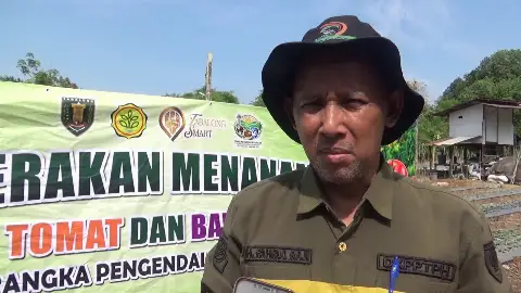 Apresiasi Inisiatif Petani, DKP3 Tabalong Genjot Produksi Bawang Merah Lokal