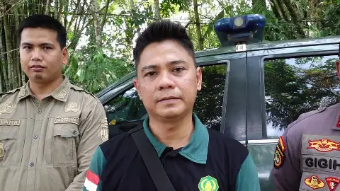 Orangutan Rusak Kebun Warga, BKSDA Tingkatkan Pemantauan di Desa Habau