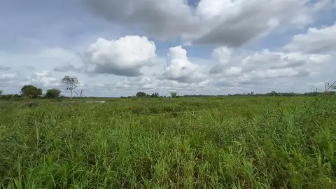 Hadapi El Nino, Wabup Tabalong Ajak Masyarakat Jaga Lahan Gambut dari Karhutla