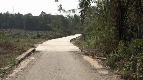 Bupati Tinjau Jalan Kaong–Liyu, Perkuat Konektivitas Tabalong–Balangan