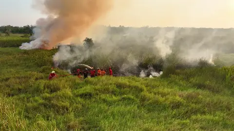 Kasus Karhutla Tabalong Masih Terkendali, Pemkab Berkomitmen Tetap Siaga