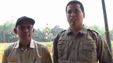 Petani Habau Harapkan Pompanisasi, Dorong Tanam Padi 2 hingga 3 Kali Setahun