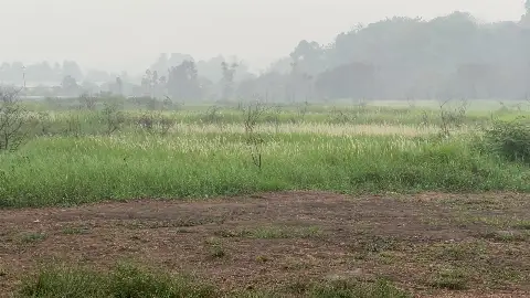 Sempat Viral! Begini Nasib Wisata Padang Ilalang Binturu Kelua
